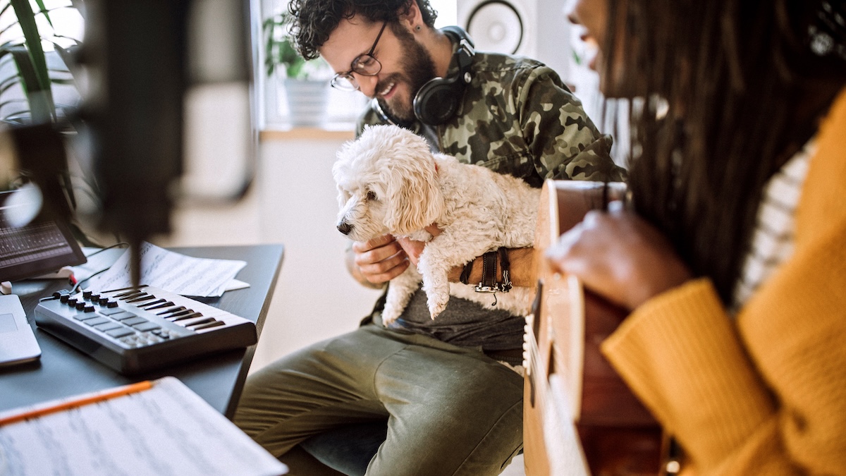 Im Büro sind zwei Teammitglieder zu sehen mit einem Bürohund